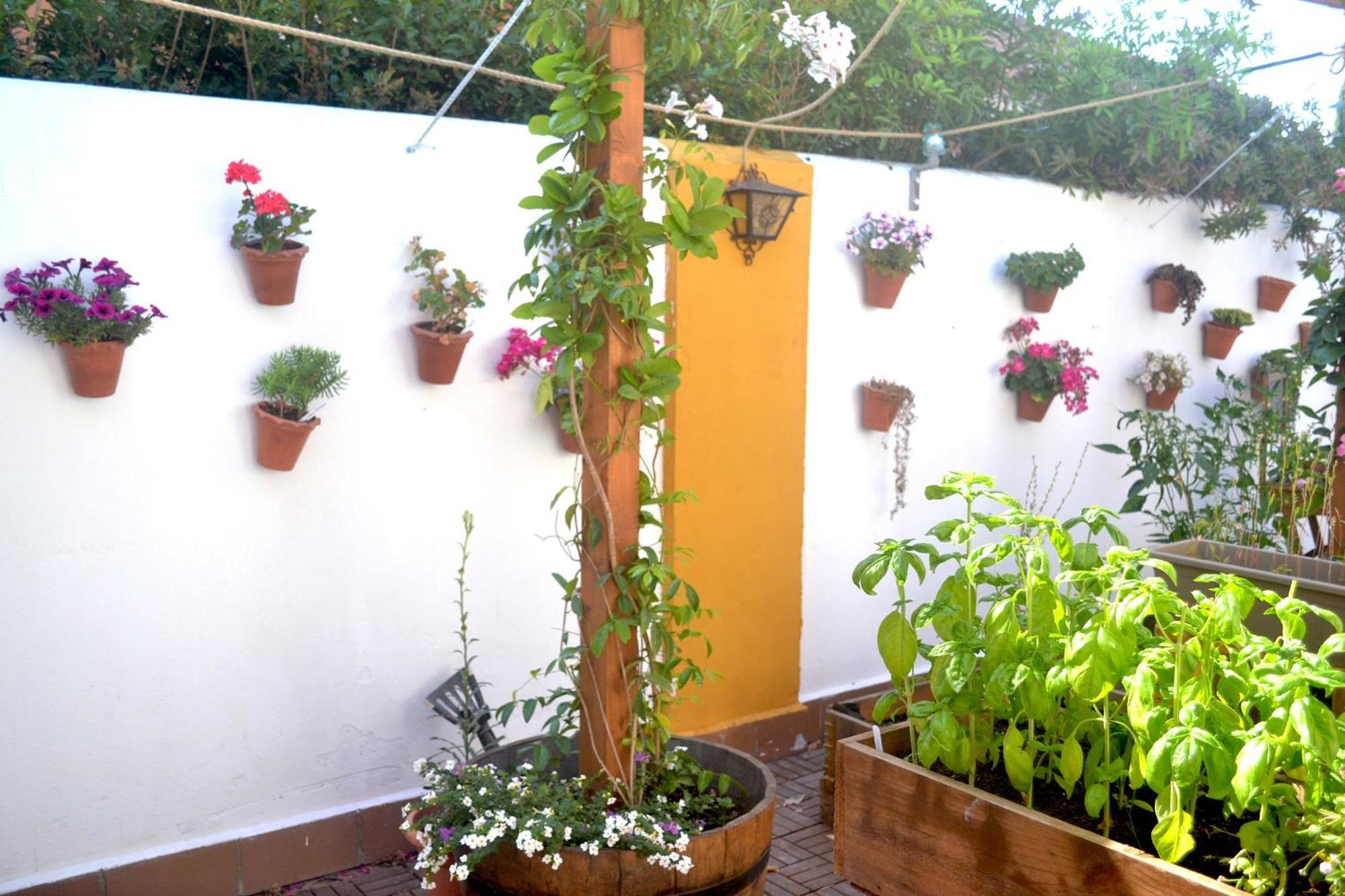 Chalets En Sancti Petri 诺沃桑克蒂佩特里 外观 照片